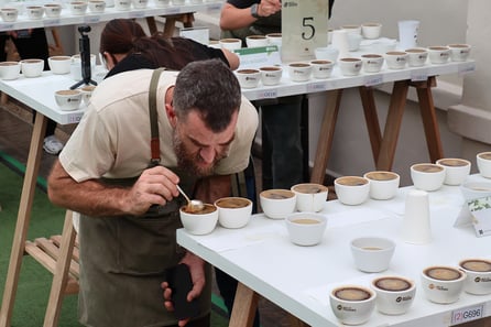 rss-efef3502c9e4206b3b43b312a9dc0279294a12597b4w